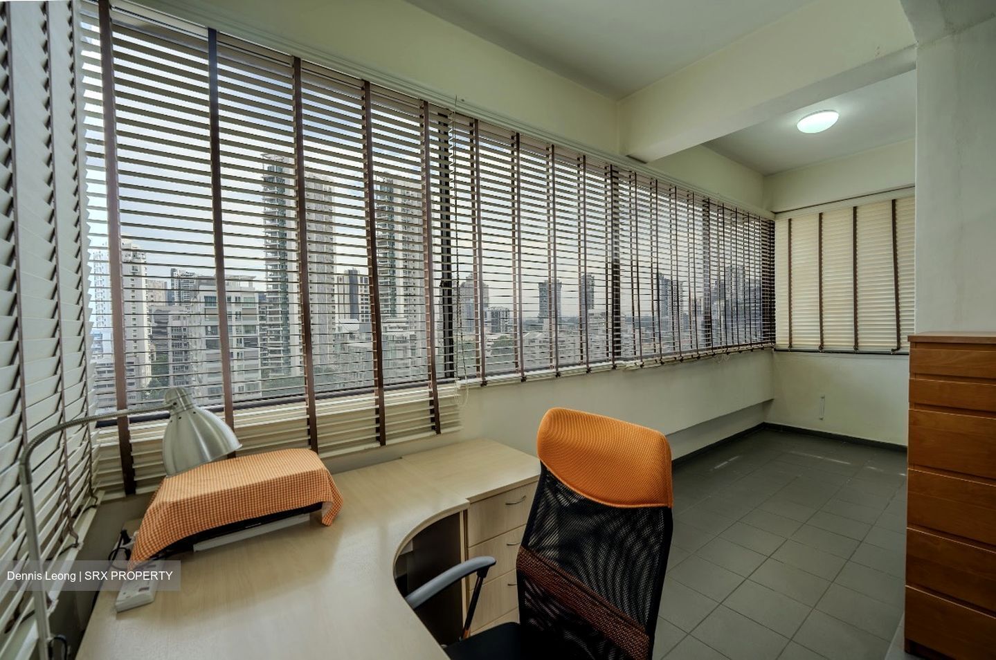 Balestier Plaza (D12), Apartment #598293531